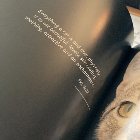 CATS Book - Picture 6 of 8